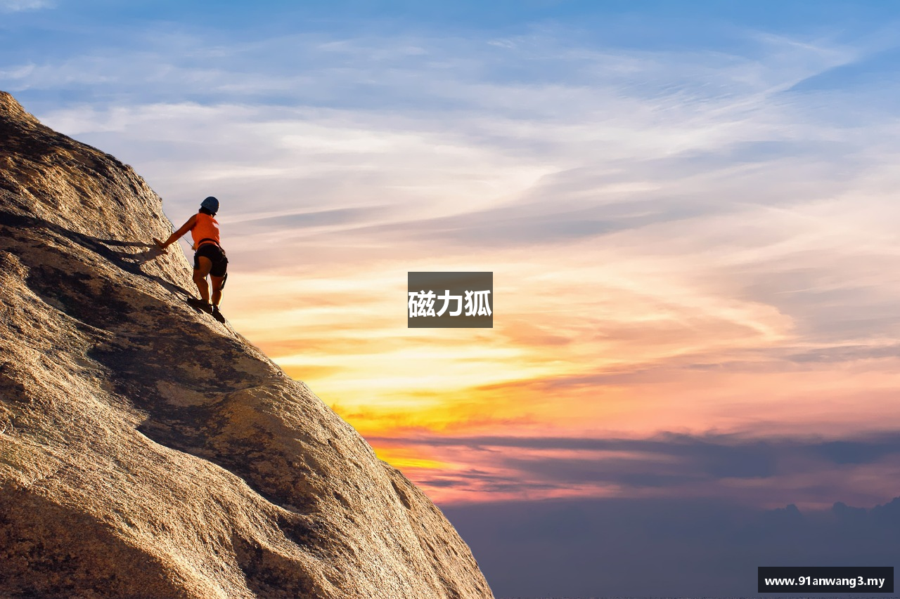磁力狐